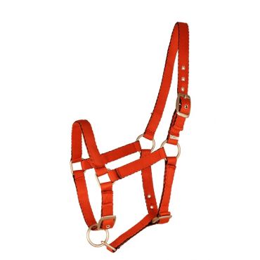 FairPlay FOAL Halfter API BABY