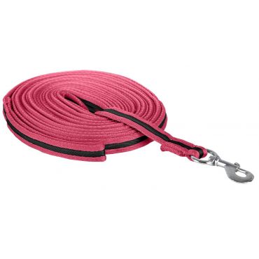 FairPlay Lunge in bag