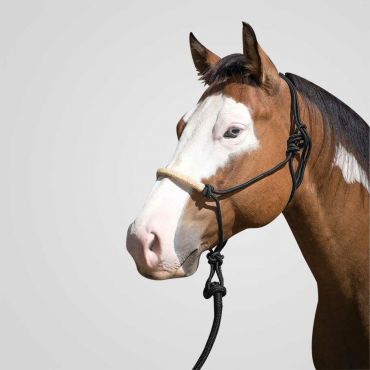 FairPlay Rope Halfter LM