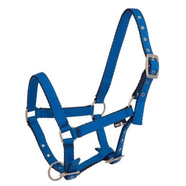 FairPlay FOAL Halfter API BABY