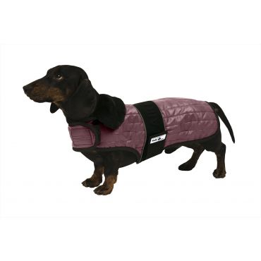 FairPlay Hundemantel GUSTAVO