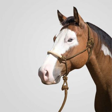 FairPlay Rope Halfter LM